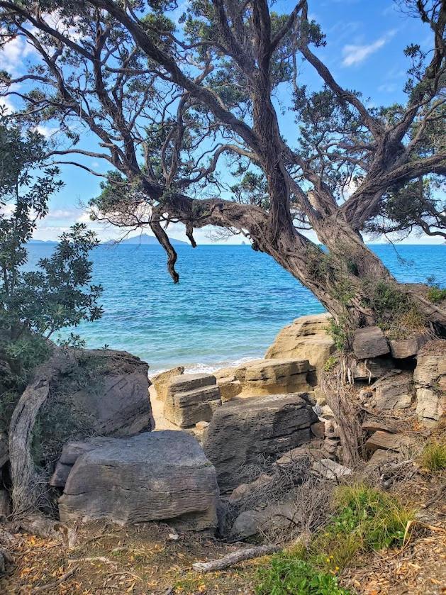Hotel 1 Waipu Off-Grid Eco Seaview Geodesic Glamping Dome Esterno foto